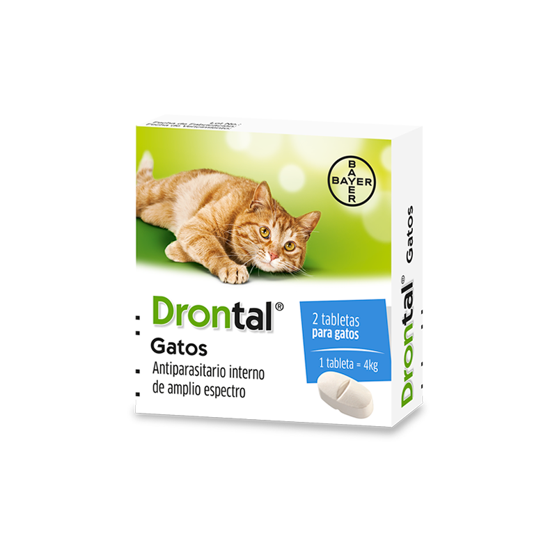 DRONTAL