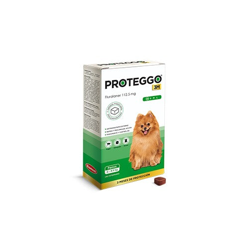 PROTEGGO