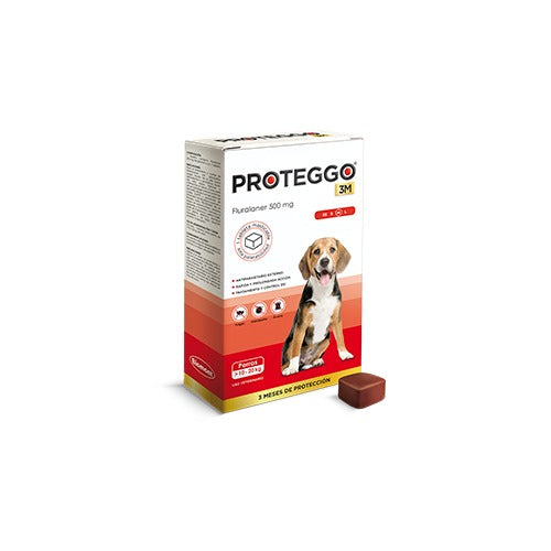 PROTEGGO