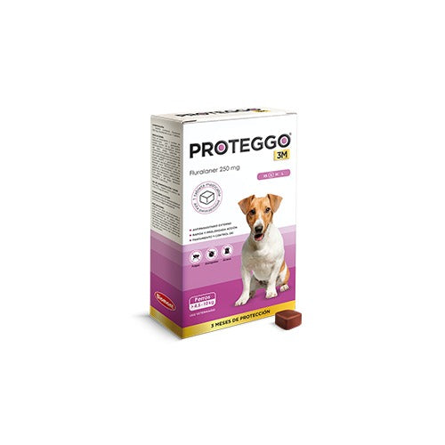 PROTEGGO